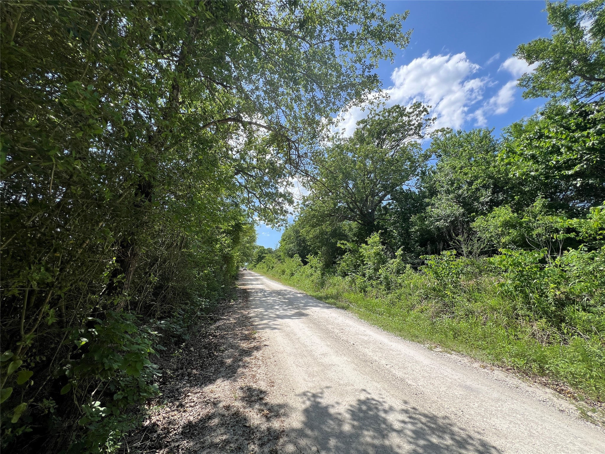 Lot #2 Cr 218 Road Anderson, TX 77830 - Photo 16 of 17 a view of a pathway both side of yard