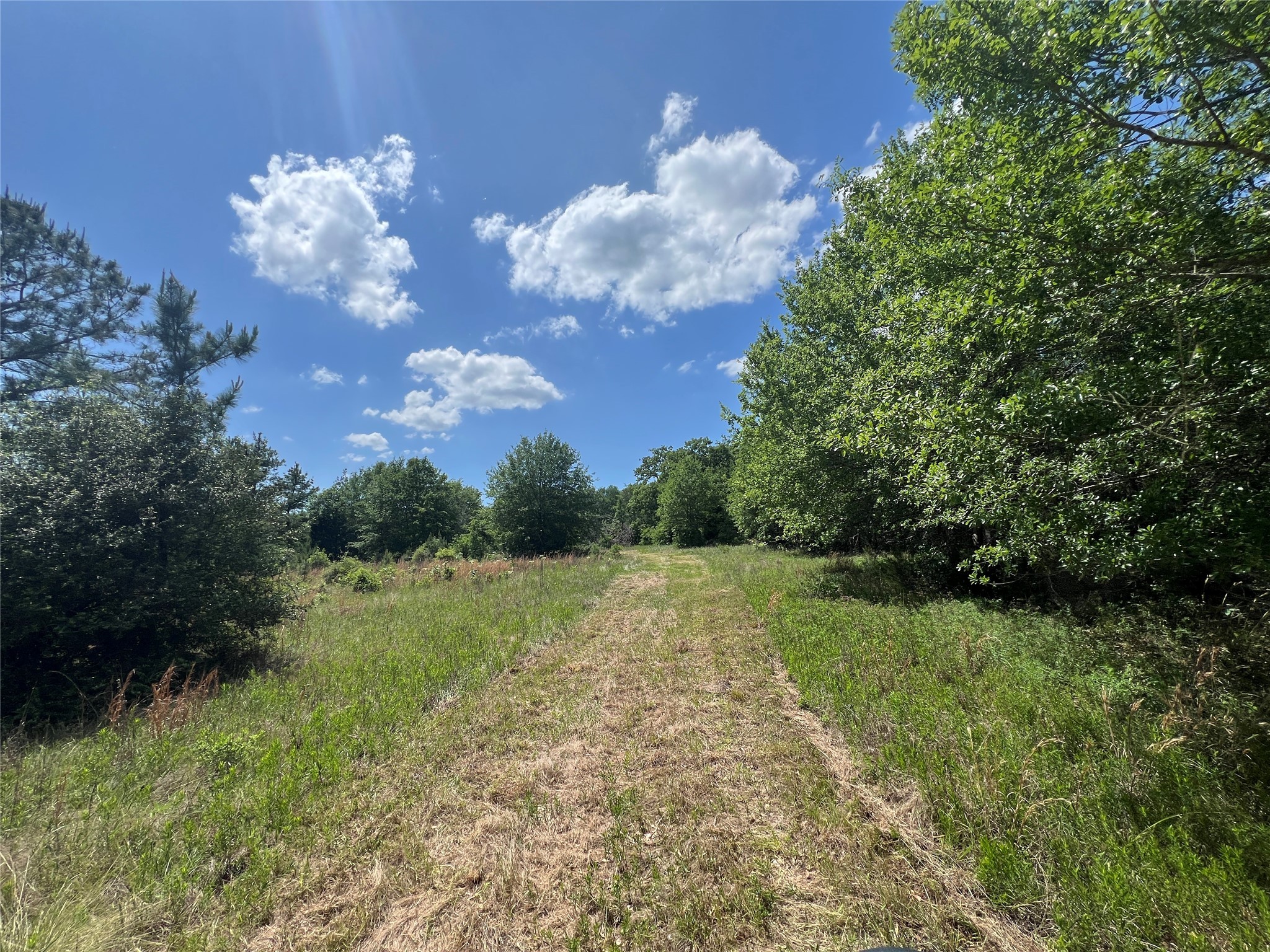 Lot #2 Cr 218 Road Anderson, TX 77830 - Photo 3 of 17 a view of a big yard with lots of green space and mountain view