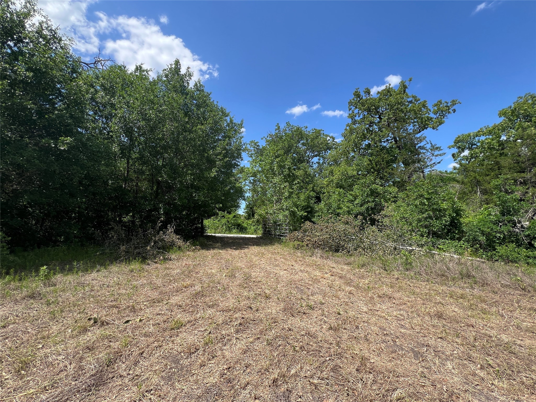 Lot #2 Cr 218 Road Anderson, TX 77830 - Photo 7 of 17 a view of a yard with a tree