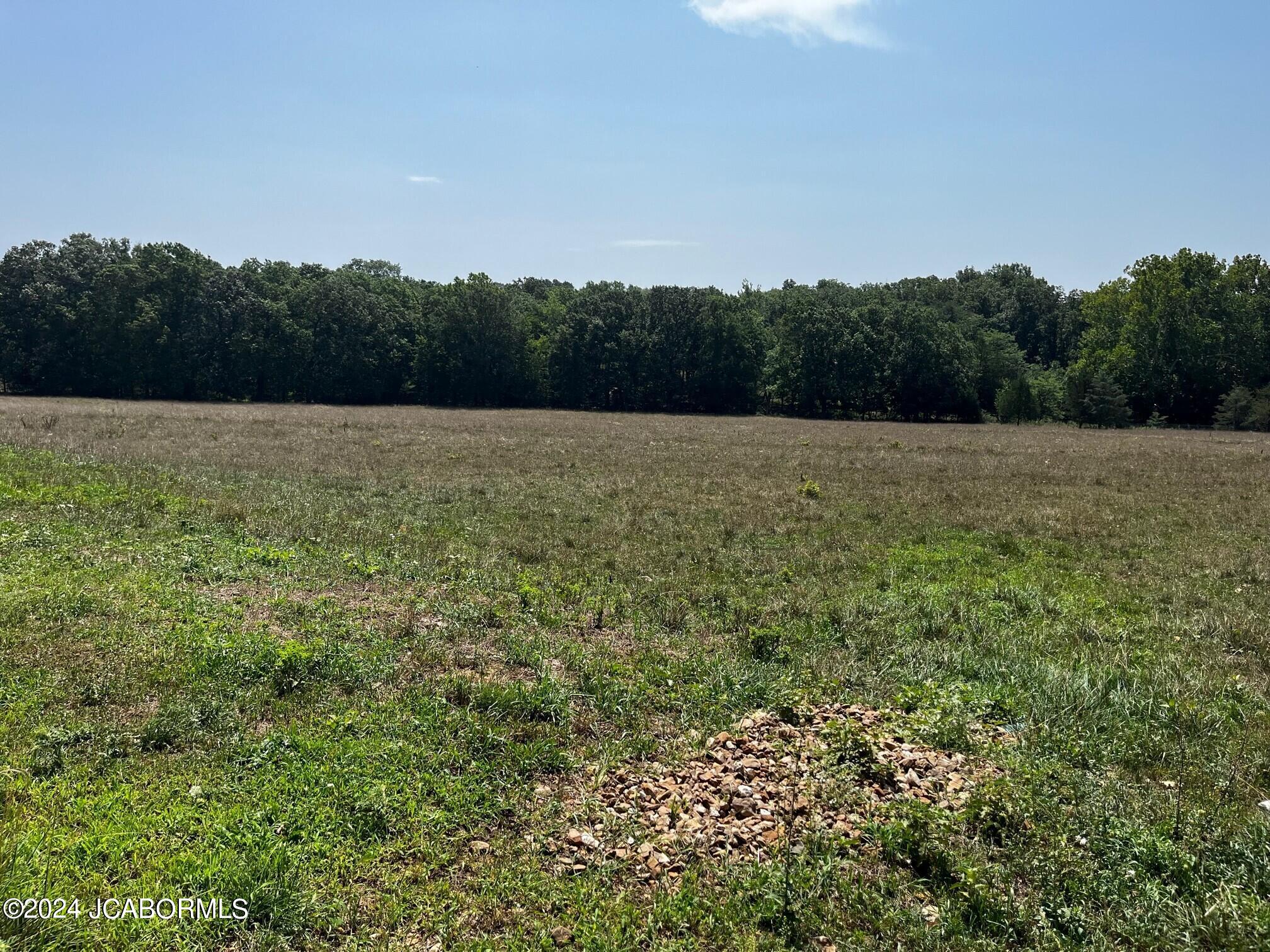Tbd Wolf Run Road California, MO 65018 - Photo 6 of 6