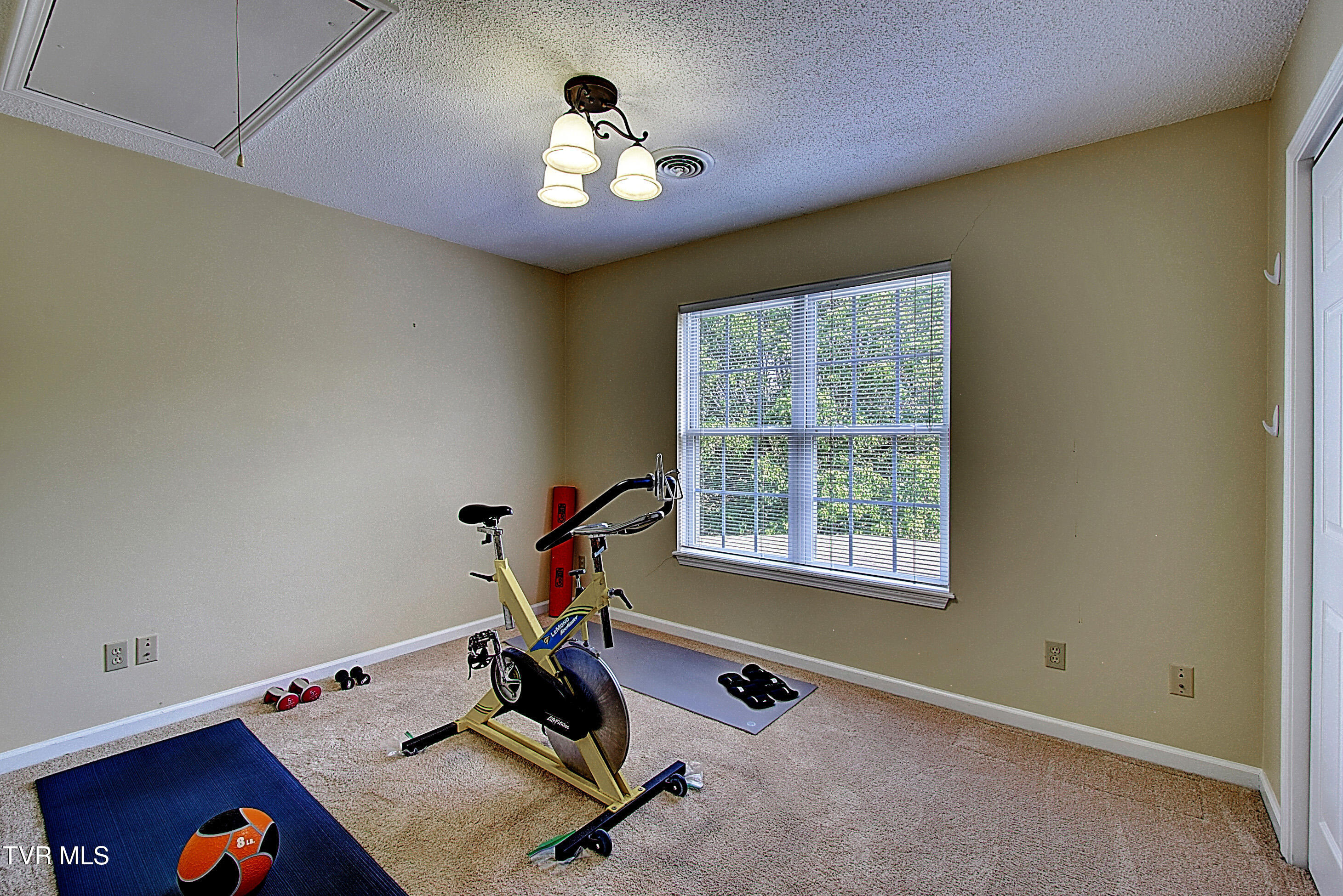 256 Hales Road Jonesborough, TN 37659 - Photo 42 of 72 DSC_0673And8more