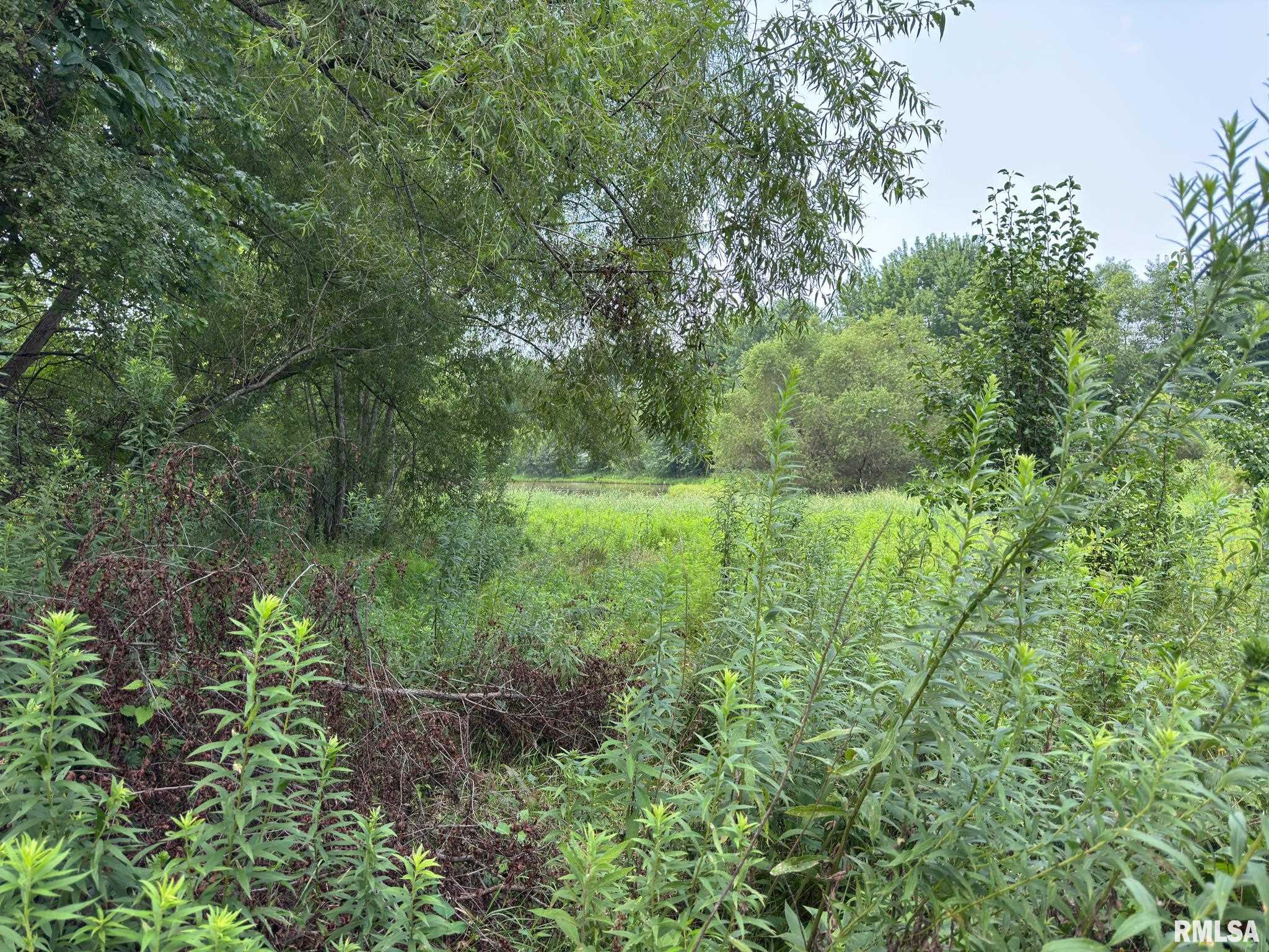 3674-3200 Tozer Road Springfield, IL 62707 - Photo 40 of 42