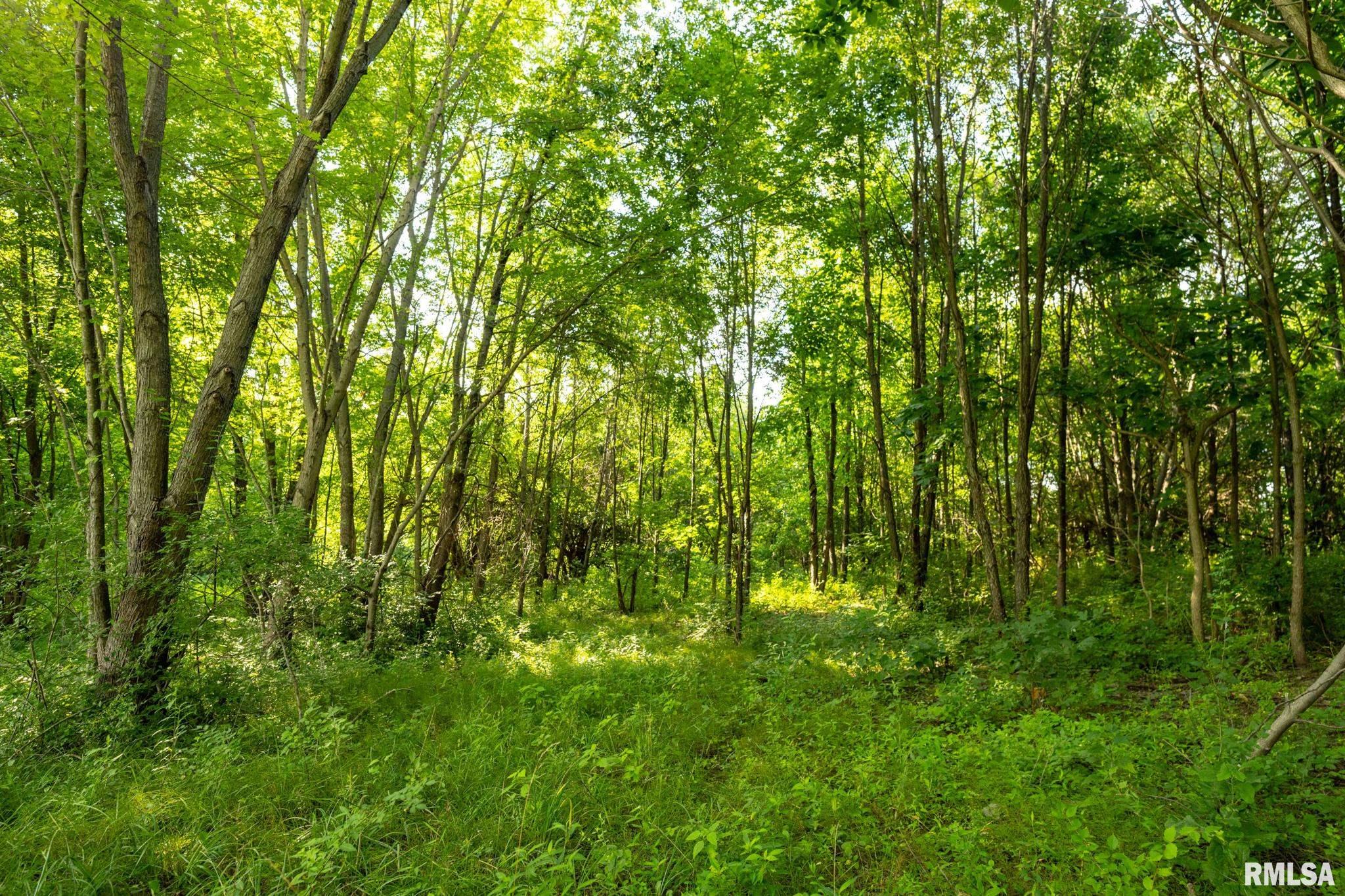 3674-3200 Tozer Road Springfield, IL 62707 - Photo 4 of 42