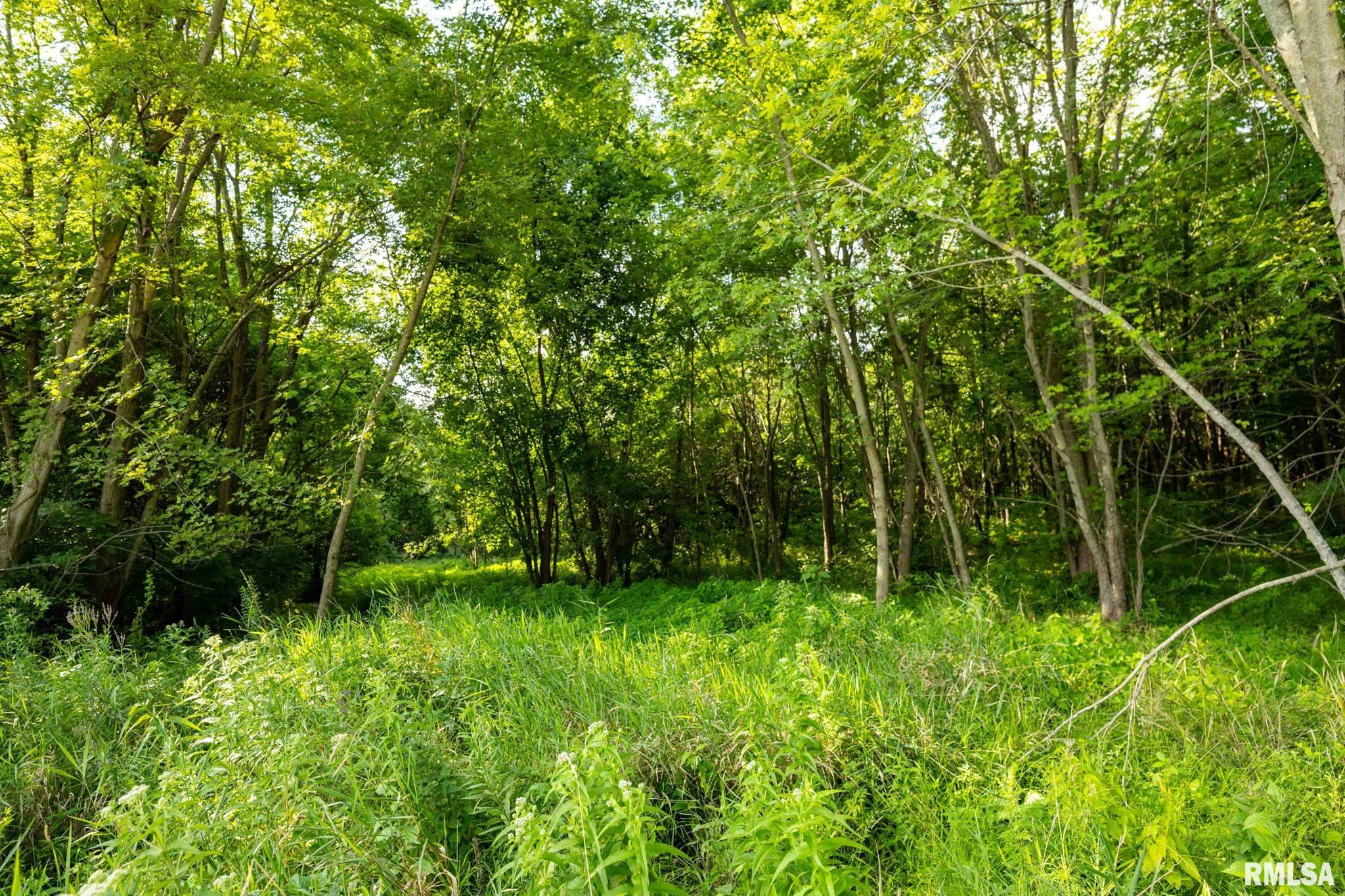 3674-3200 Tozer Road Springfield, IL 62707 - Photo 8 of 42