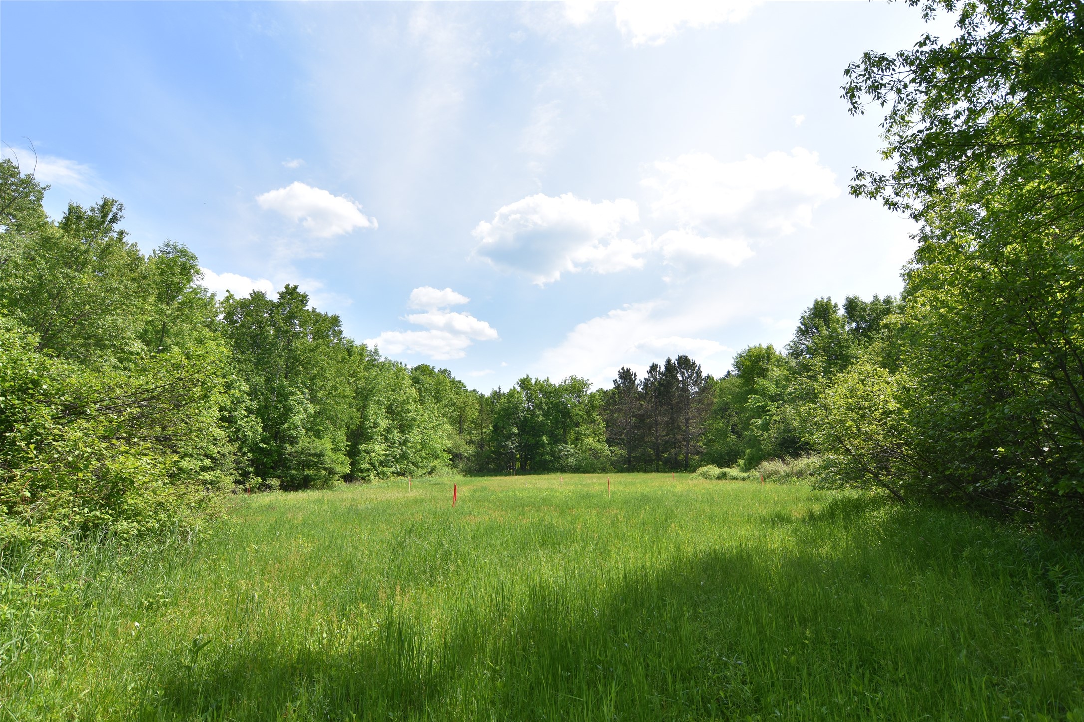 N399 Riverside Drive Holcombe, WI 54745 - Photo 16 of 20