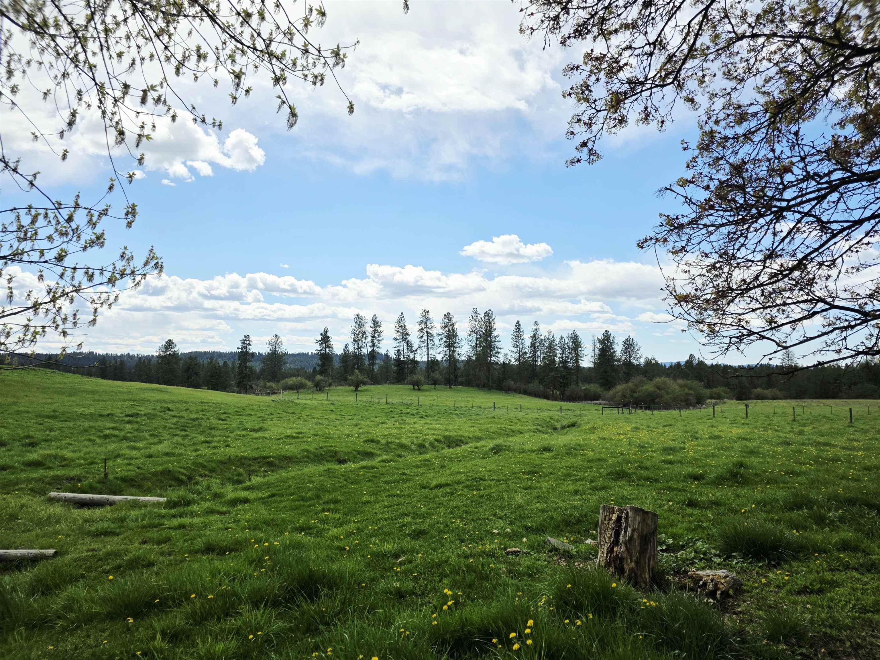28628 North Dunn Road Chattaroy, WA 99003 - Photo 43 of 50 Gallery Image 43
