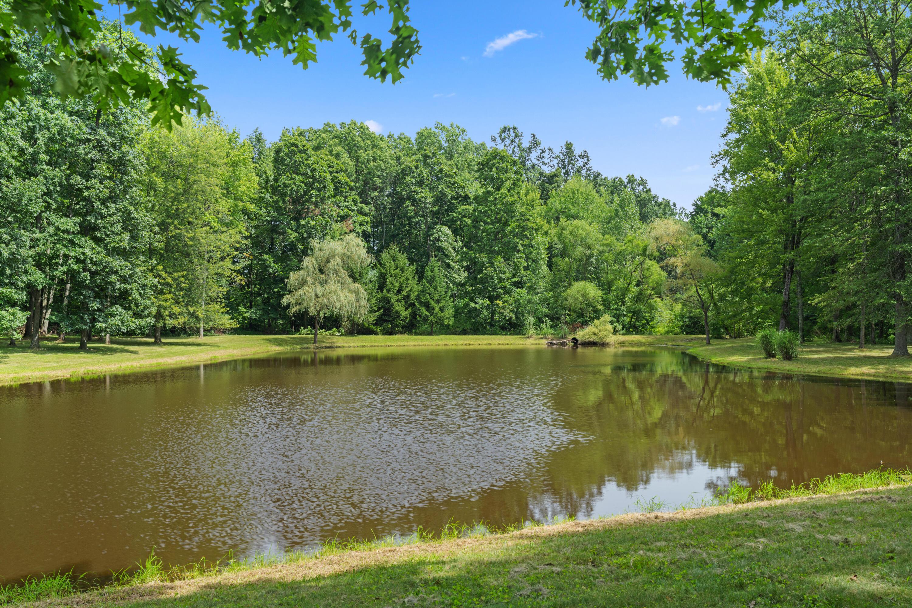 5455 Plantation Road Sunbury, OH 43074 - Photo 159 of 176 Stocked Pond