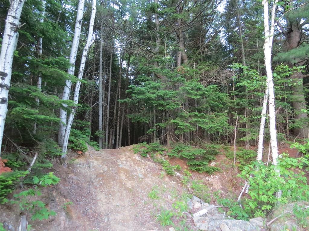 0 Autumn Street Fort Kent, ME 04743 - Photo 3 of 6 Trail into the property