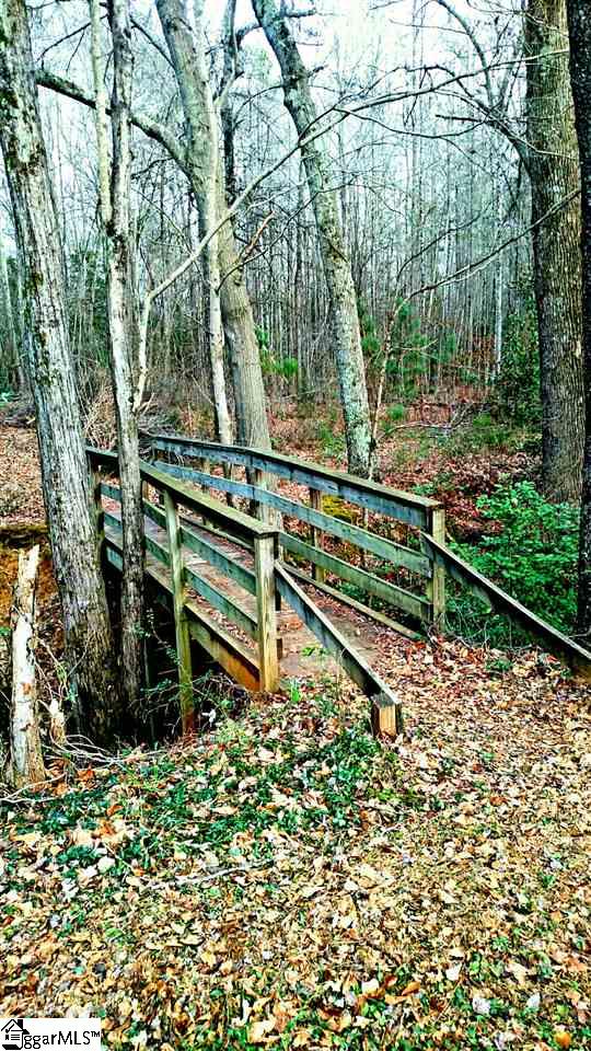 103 Watt Rogers Road Pelzer, SC 29669 - Photo 29 of 32