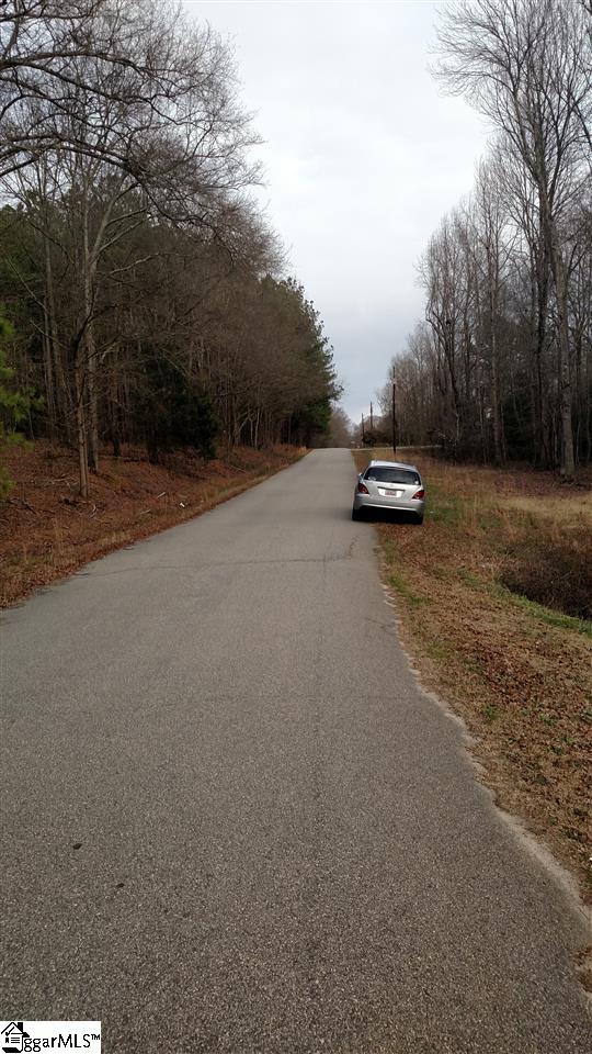 103 Watt Rogers Road Pelzer, SC 29669 - Photo 30 of 32