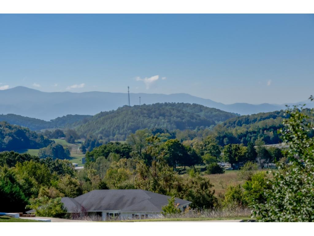 401 East Ridges Drive Chuckey, TN 37641 - Photo 34 of 36 Photo 34