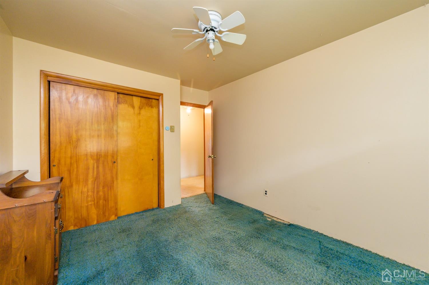 286 Barbertown Point Breeze Road Frenchtown, NJ 08825 - Photo 22 of 36 a view of a big room with closet and a ceiling fan