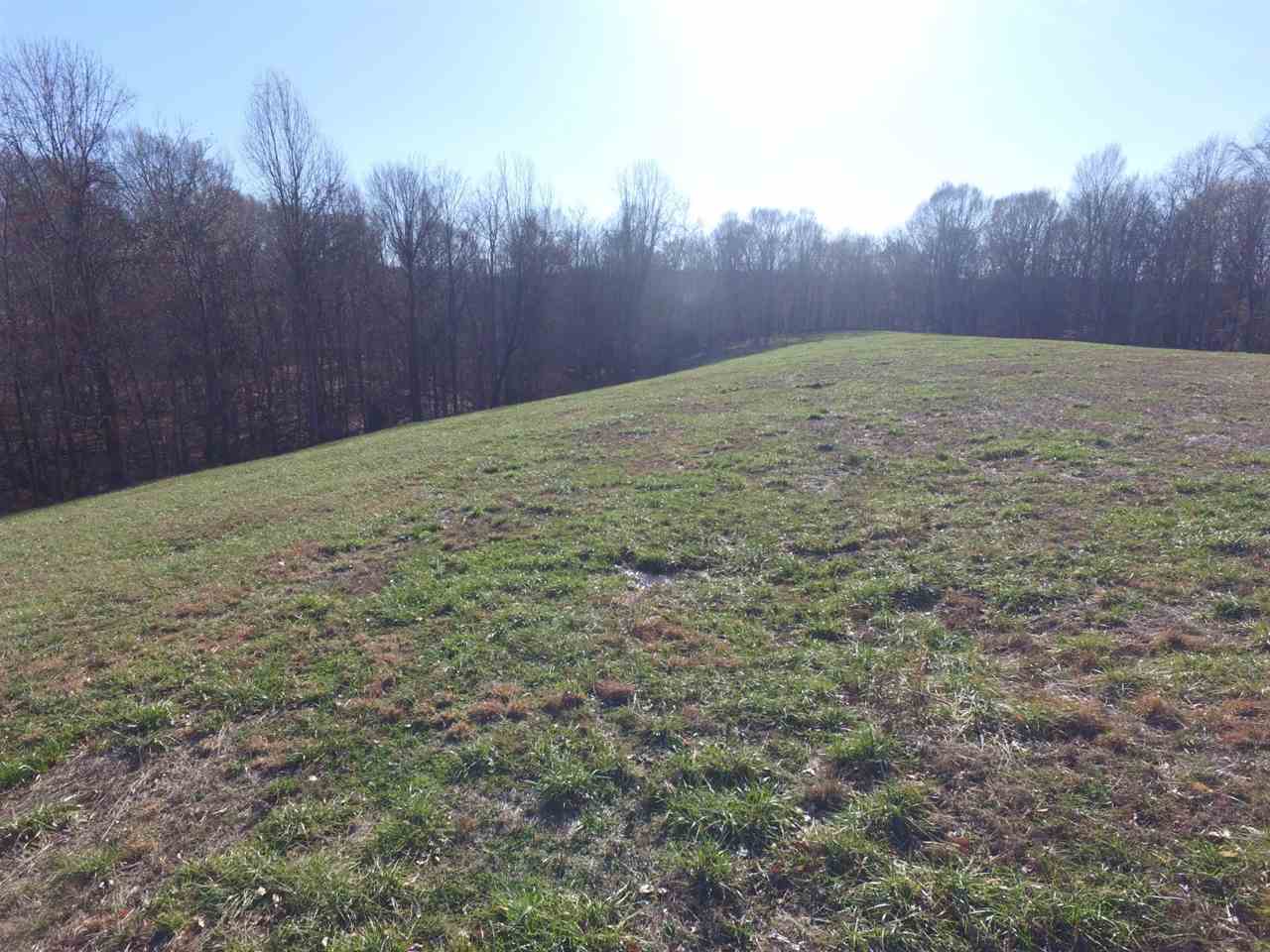 23-acres Cemetery Road Scottsville, KY 42164 - Photo 11 of 32 Gallery Image 11