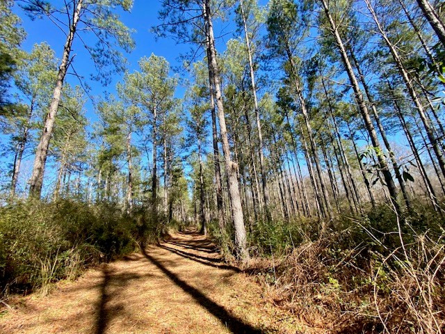3420 Lower Gladding Road Magnolia, MS 39652 - Photo 21 of 67 Photo 21