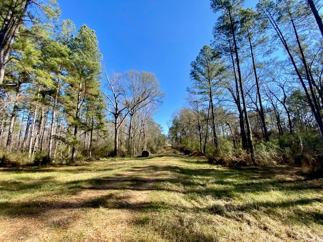 3420 Lower Gladding Road Magnolia, MS 39652 - Photo 23 of 67 Photo 23