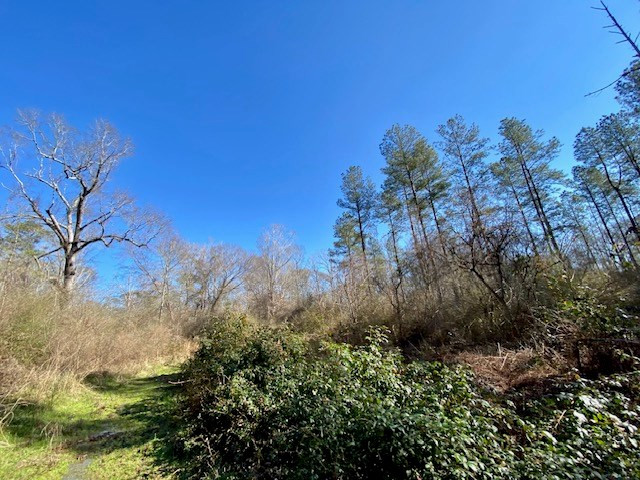 3420 Lower Gladding Road Magnolia, MS 39652 - Photo 24 of 67 Photo 24