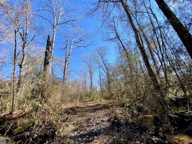 3420 Lower Gladding Road Magnolia, MS 39652 - Photo 25 of 67 Photo 25