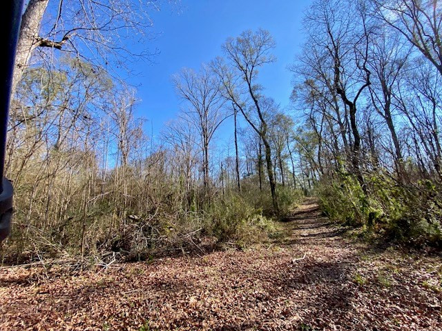 3420 Lower Gladding Road Magnolia, MS 39652 - Photo 27 of 67 Photo 27