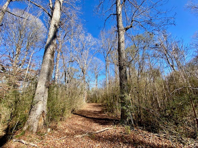 3420 Lower Gladding Road Magnolia, MS 39652 - Photo 28 of 67 Photo 28