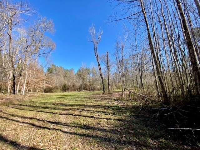 3420 Lower Gladding Road Magnolia, MS 39652 - Photo 29 of 67 Photo 29