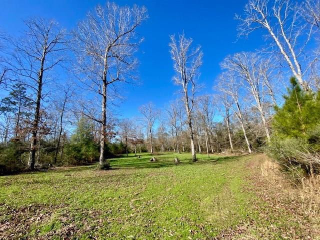 3420 Lower Gladding Road Magnolia, MS 39652 - Photo 3 of 67 Photo 3