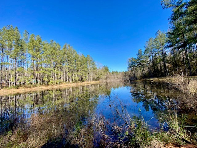 3420 Lower Gladding Road Magnolia, MS 39652 - Photo 31 of 67 Photo 31