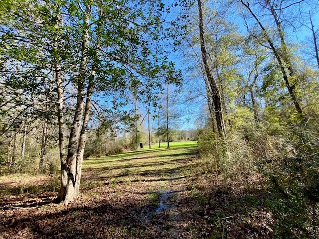 3420 Lower Gladding Road Magnolia, MS 39652 - Photo 32 of 67 Photo 32