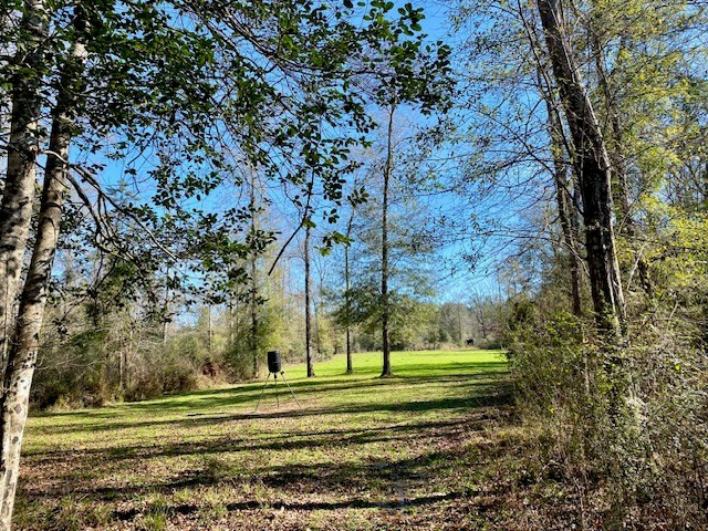 3420 Lower Gladding Road Magnolia, MS 39652 - Photo 33 of 67 Photo 33