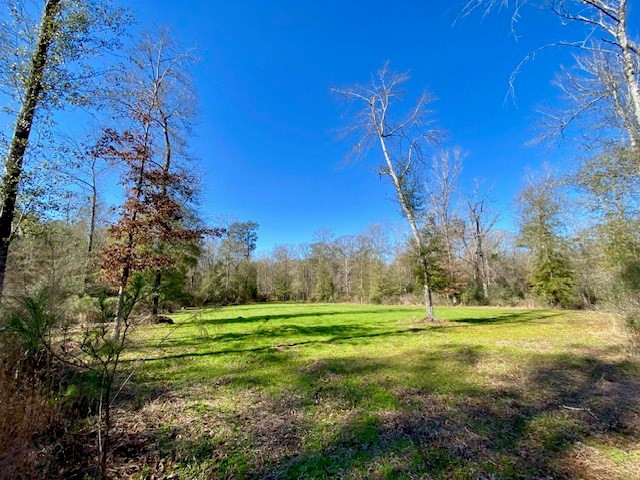 3420 Lower Gladding Road Magnolia, MS 39652 - Photo 34 of 67 Photo 34