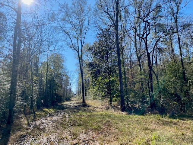 3420 Lower Gladding Road Magnolia, MS 39652 - Photo 36 of 67 Photo 36
