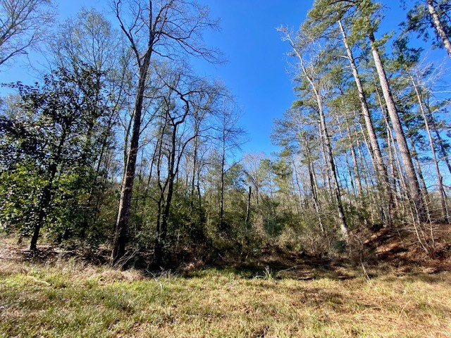 3420 Lower Gladding Road Magnolia, MS 39652 - Photo 37 of 67 Photo 37