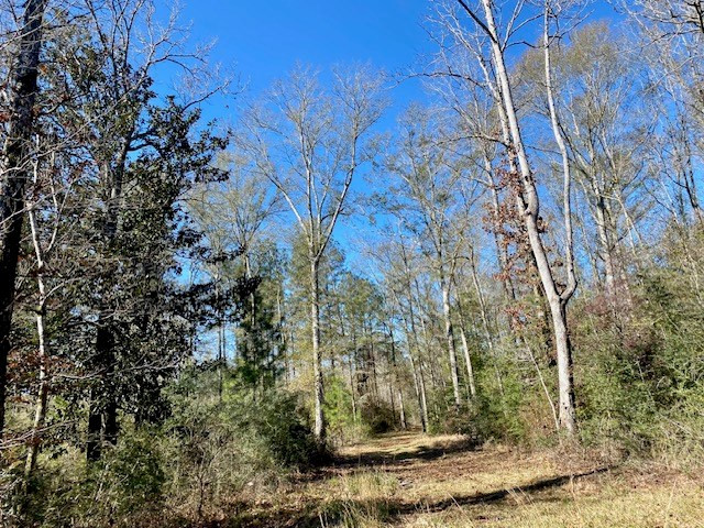 3420 Lower Gladding Road Magnolia, MS 39652 - Photo 38 of 67 Photo 38