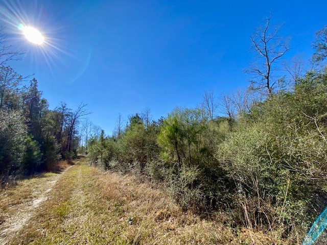 3420 Lower Gladding Road Magnolia, MS 39652 - Photo 39 of 67 Photo 39