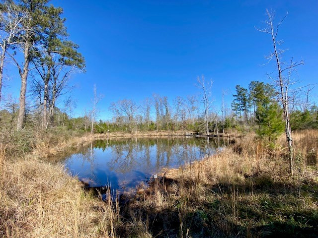3420 Lower Gladding Road Magnolia, MS 39652 - Photo 4 of 67 Photo 4