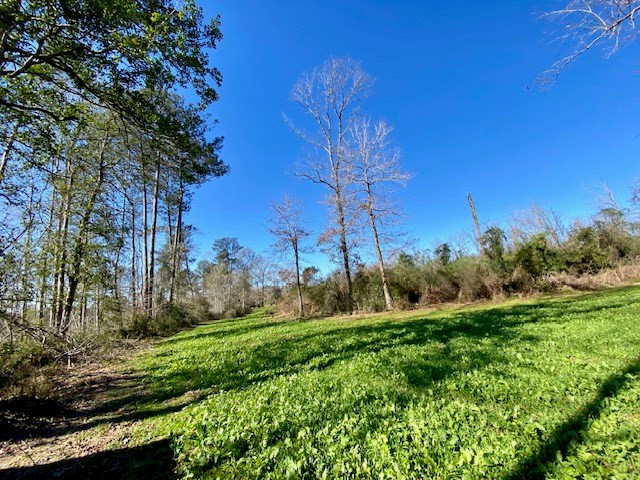 3420 Lower Gladding Road Magnolia, MS 39652 - Photo 41 of 67 Photo 41