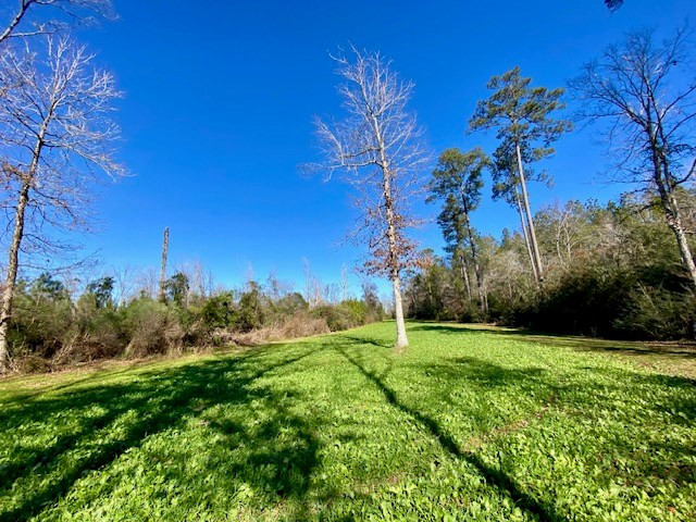 3420 Lower Gladding Road Magnolia, MS 39652 - Photo 42 of 67 Photo 42