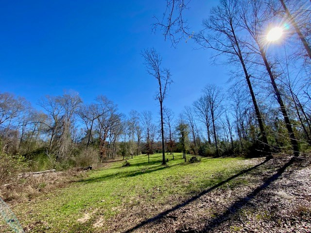 3420 Lower Gladding Road Magnolia, MS 39652 - Photo 45 of 67 Photo 45