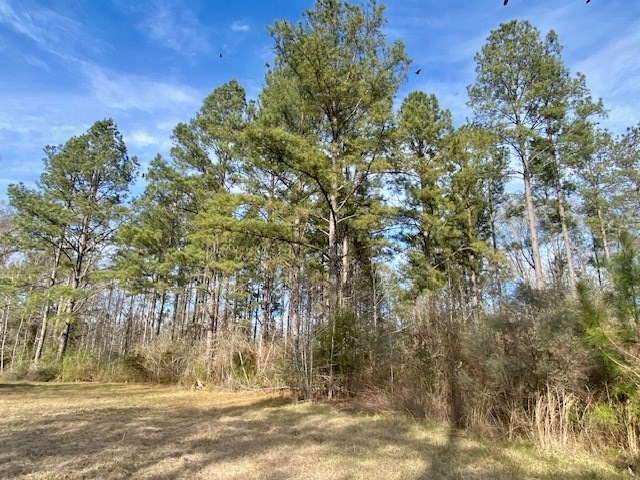 3420 Lower Gladding Road Magnolia, MS 39652 - Photo 62 of 67 Photo 62