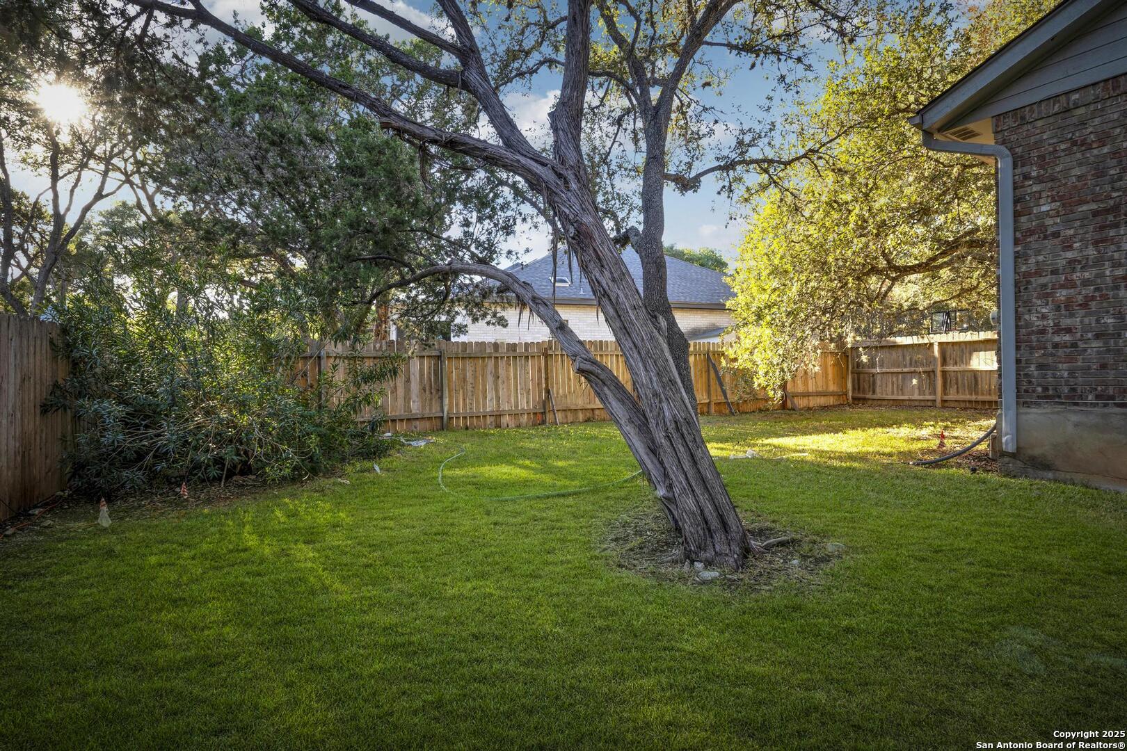 1603 Hawks Ridge Street San Antonio, TX 78248 - Photo 34 of 39 a view of a yard with a tree