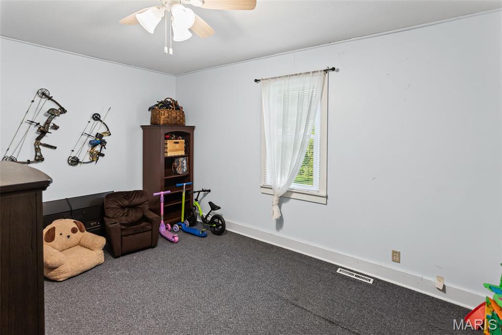 211 South Public Road Fieldon, IL 62031 - Photo 15 of 41
