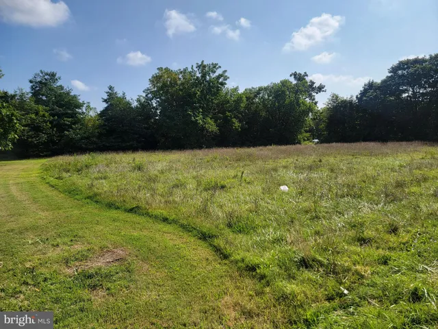 a view of a yard with a house in the background