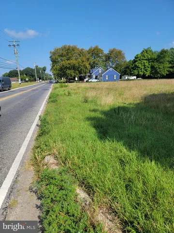 a view of street with tall trees