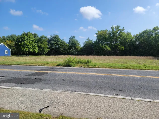 a view of a yard and a car parked in the background
