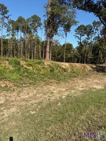 $47,000 | 24087 La Highway, Maurepas, LA 70449