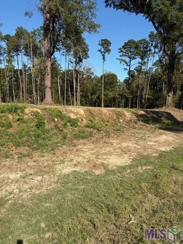 $47,000 | 24087 La Highway, Maurepas, LA 70449