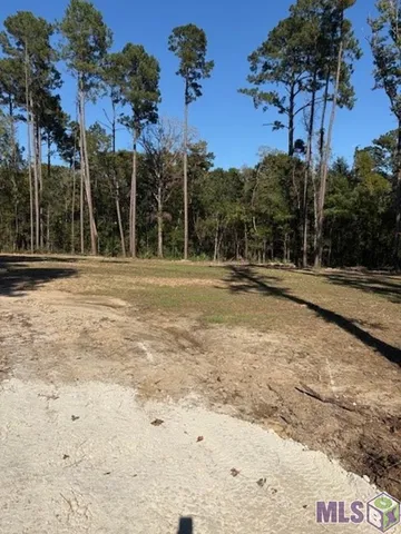 $47,000 | 24087 La Highway, Maurepas, LA 70449