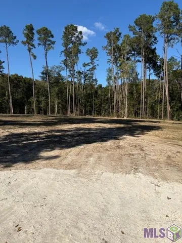 $47,000 | 24087 La Highway, Maurepas, LA 70449