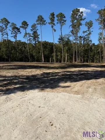 $47,000 | 24087 La Highway, Maurepas, LA 70449