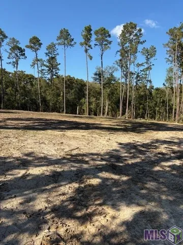 $47,000 | 24087 La Highway, Maurepas, LA 70449