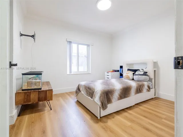 a view of a park with palm trees